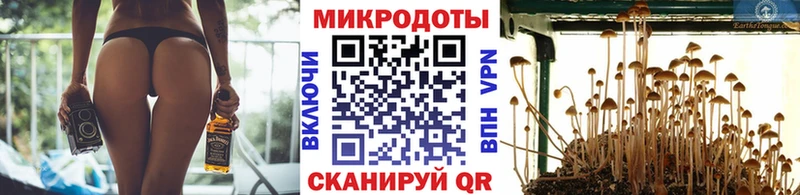 Галлюциногенные грибы Cubensis  кракен tor  Михайловка 